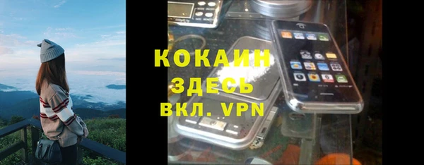 дживик Новозыбков