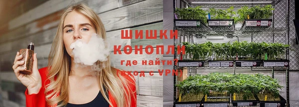 дживик Новозыбков
