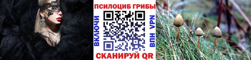 Псилоцибиновые грибы MAGIC MUSHROOMS  Талица 
